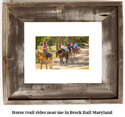 horse trail rides near me in Brock Hall, Maryland